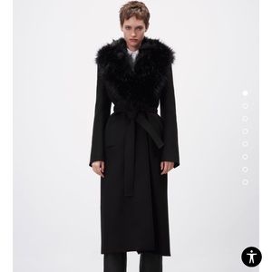 ZARA Wool Coat